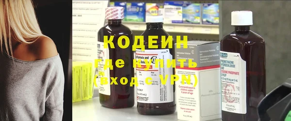 ГАЛЛЮЦИНОГЕННЫЕ ГРИБЫ Заволжье