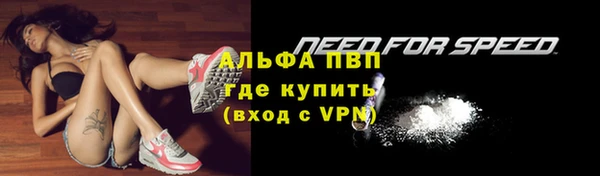 ГАЛЛЮЦИНОГЕННЫЕ ГРИБЫ Заволжск