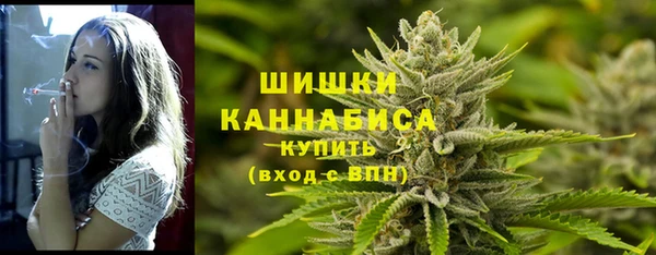 ГАЛЛЮЦИНОГЕННЫЕ ГРИБЫ Заволжье