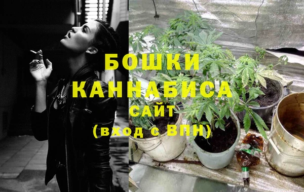 ГАЛЛЮЦИНОГЕННЫЕ ГРИБЫ Зеленодольск